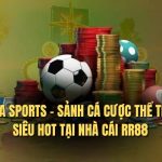 Sapa Sports - Sảnh Cá Cược Thể Thao Siêu Hot Tại Nhà Cái RR88